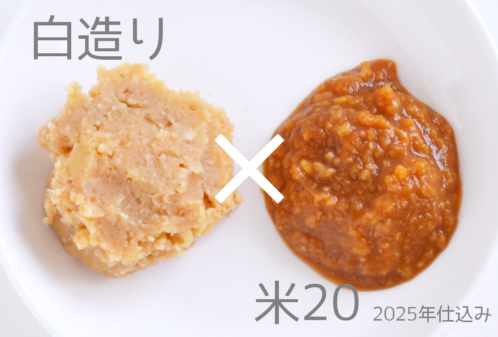 BLENDED Bブレンド前