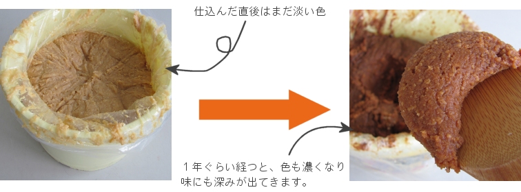 仕込み味噌と出来上がり