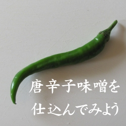 青唐辛子味噌の作り方