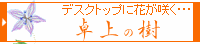 ���̎�